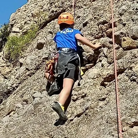 El Desván Del Campanero