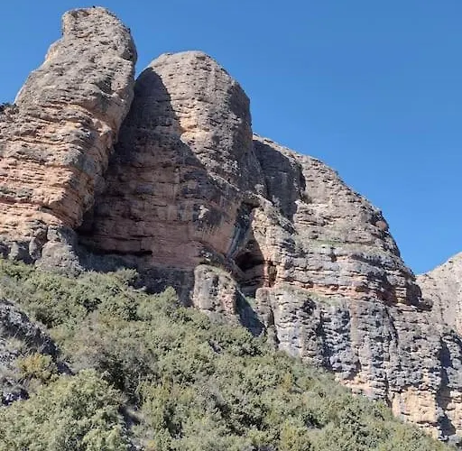 El Desvan Del Campanero *